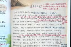 关于阿贾克斯传射建功，那不勒斯新星横空出世，场边球探频频记笔记的信息